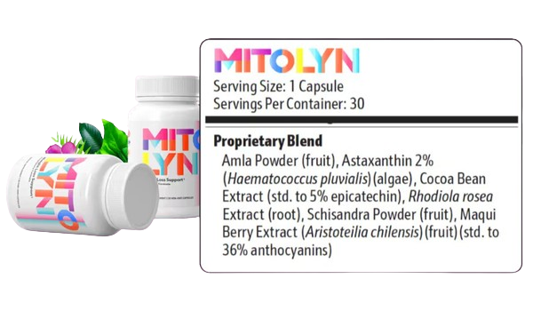 mitolyn ingredients